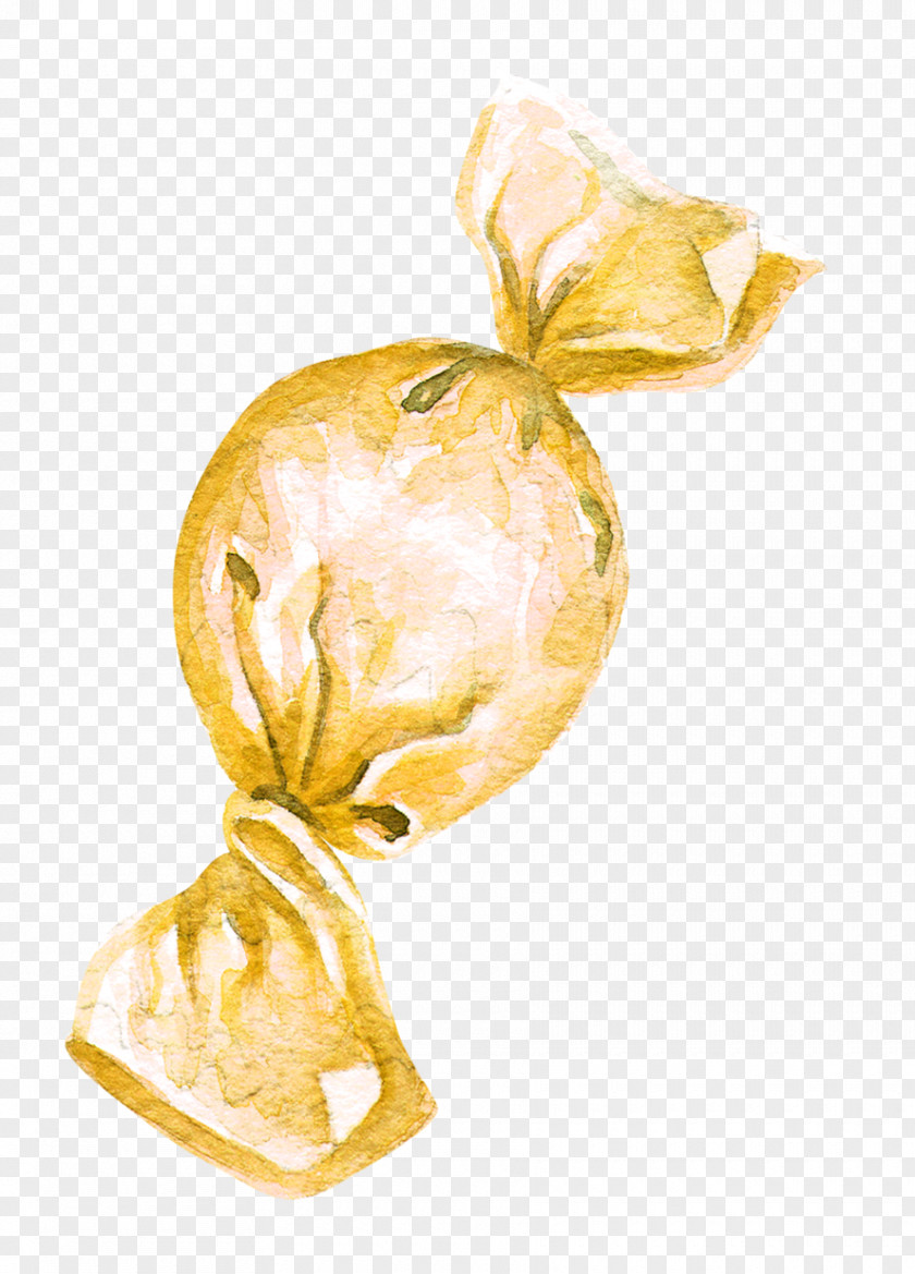 Painted Candy Icon PNG