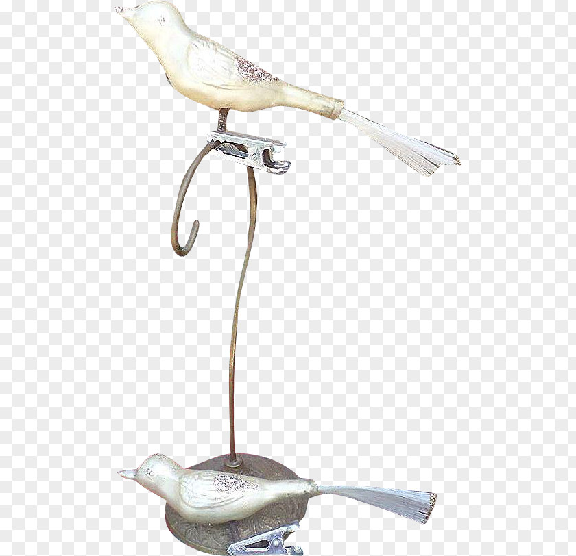 Bird Product Design PNG