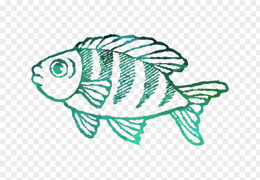 Coloring Book Saltwater Fish Deep Sea Creature PNG