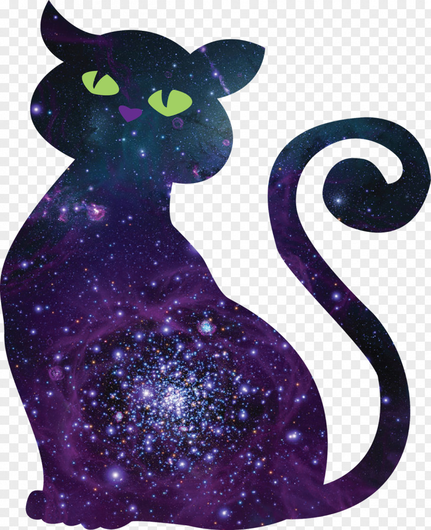 Galaxy Cat Court Theatre Drawing Silhouette PNG