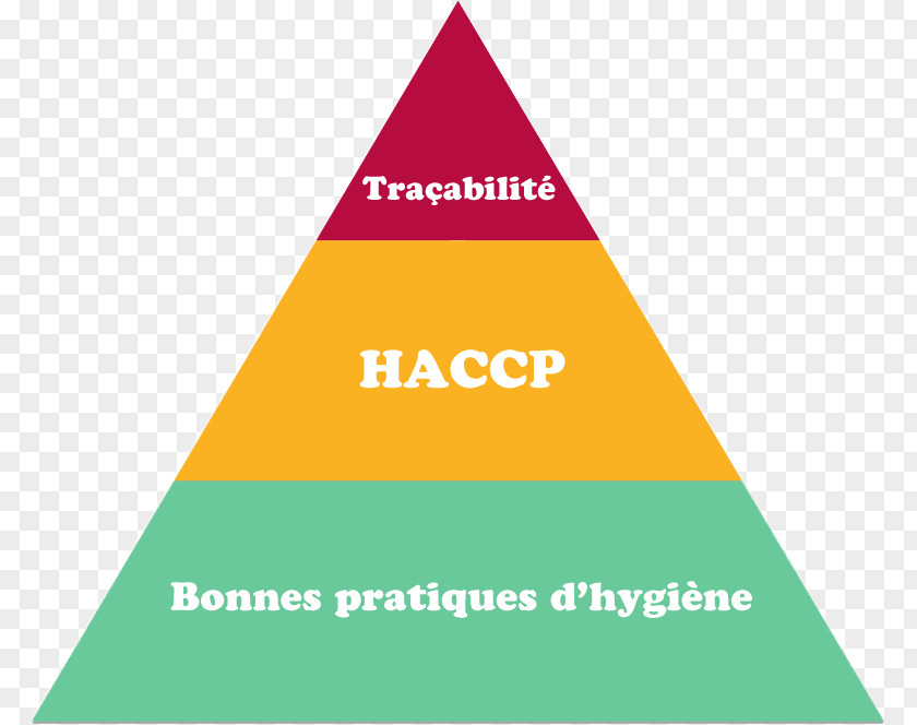 Haccp Formation Machine Learning Society Hazard Analysis And Critical Control Points Lithuania Social PNG