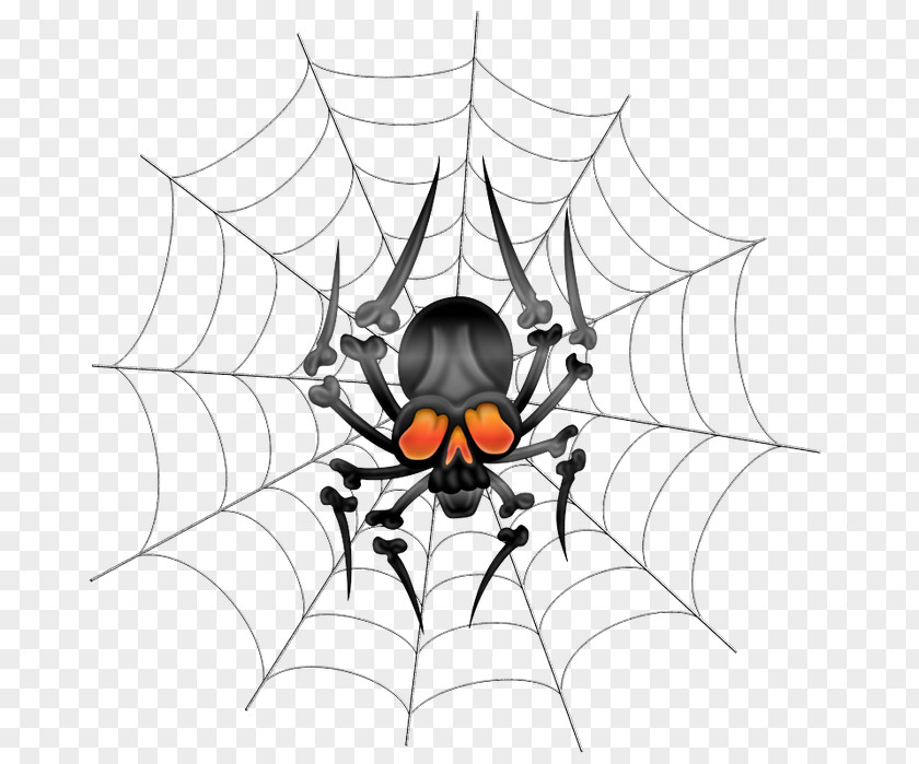 Spider Widow Spiders Web Clip Art PNG