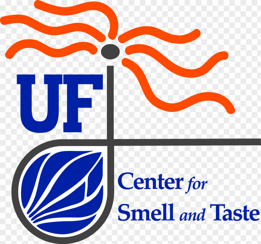 Taste University Of Florida Olfaction Odor Sense PNG