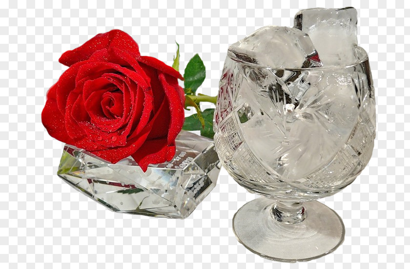 Wine Glass Cup PNG