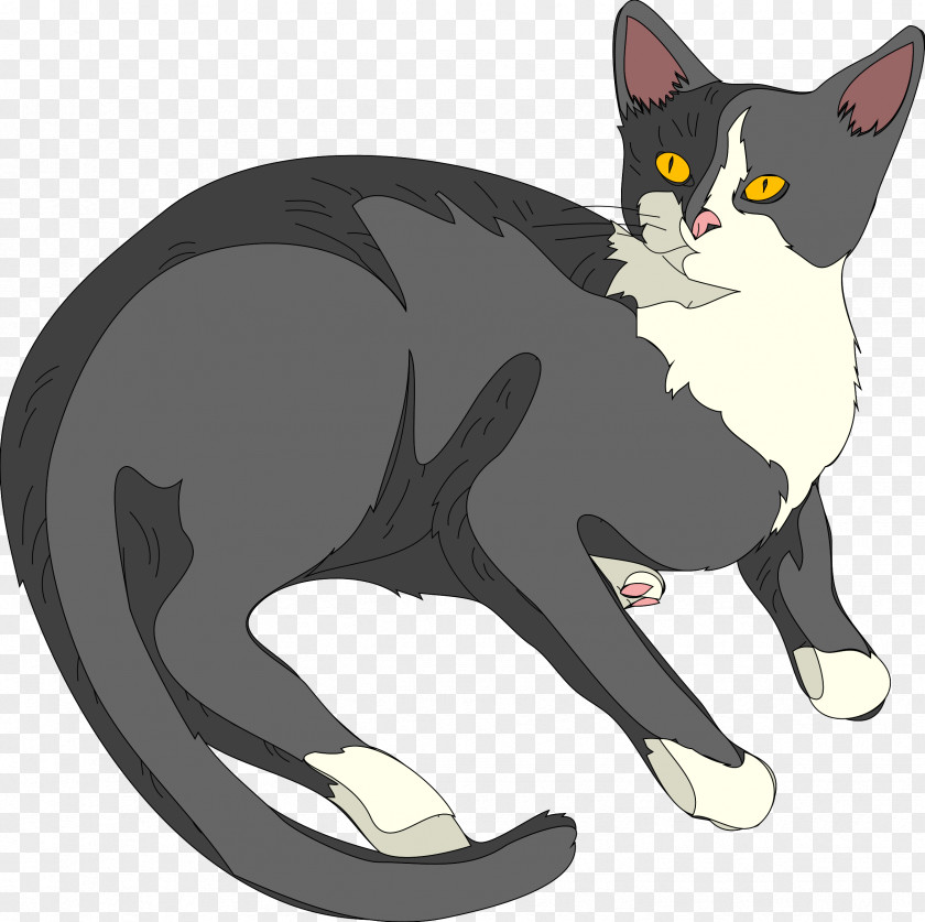 Cat Kitten Clip Art PNG