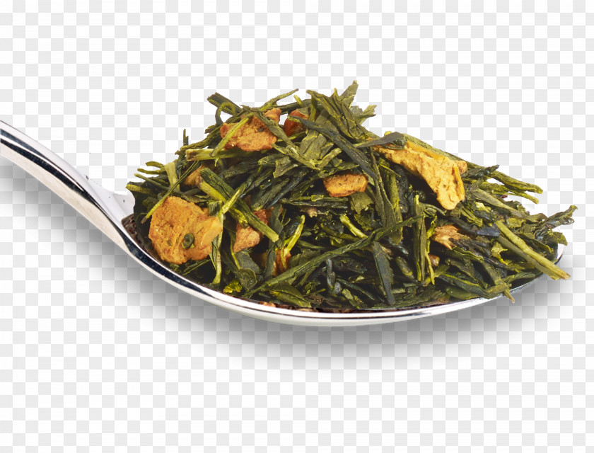Green Tea Sencha Elderflower Cordial Nilgiri PNG