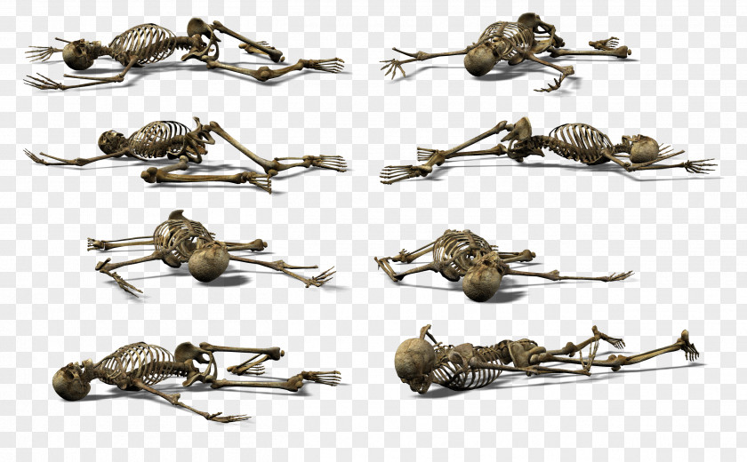 Skeleton Frame Skull Clip Art PNG