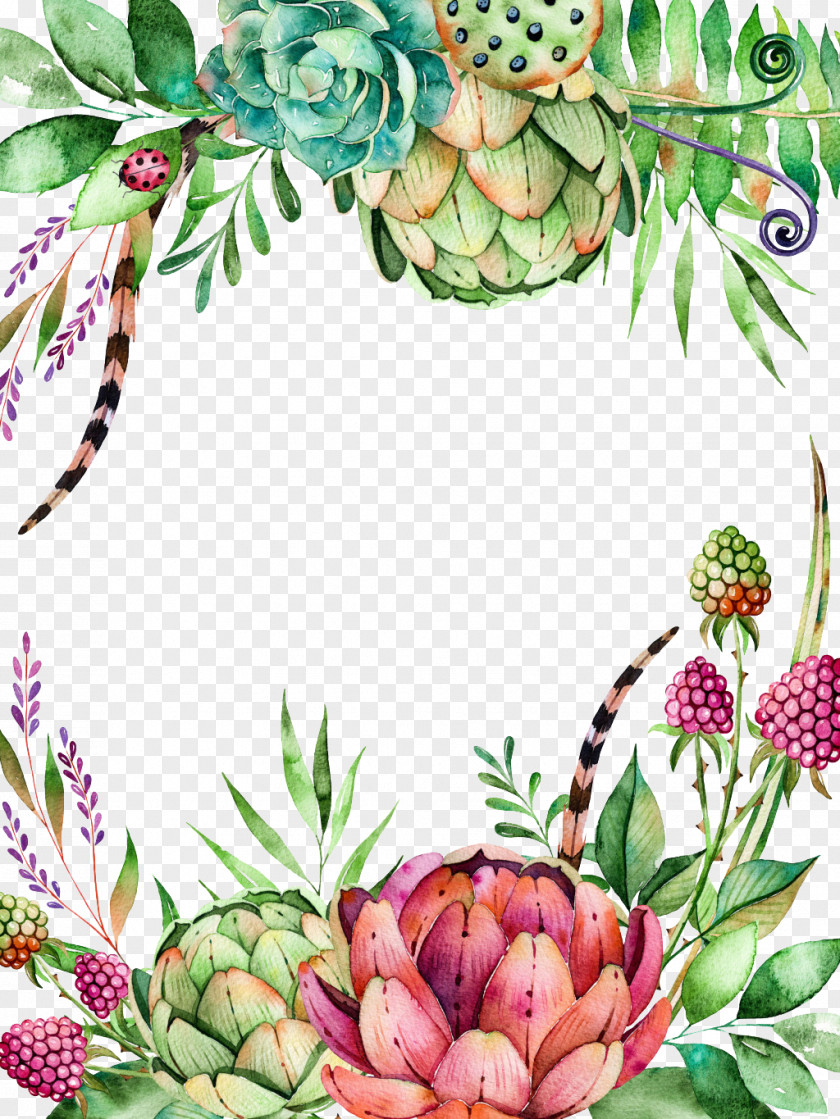 Succulent Plants Plant Flower Watercolor Painting Cactaceae Branch PNG