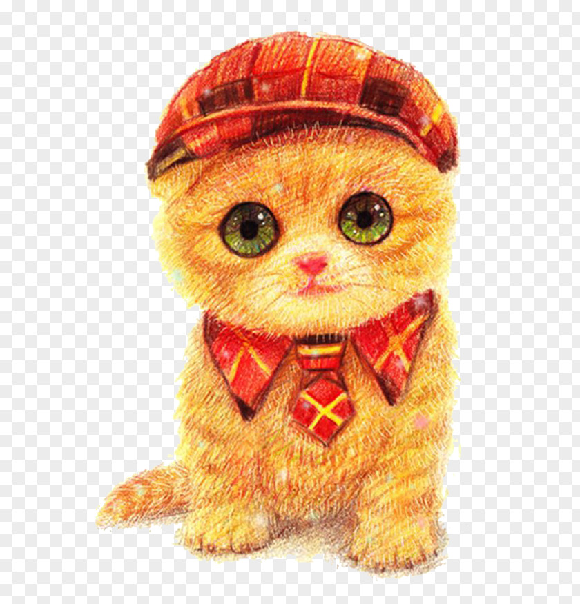 Yellow Cat Dog Wallpaper PNG