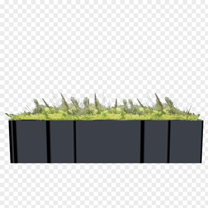 Angle Rectangle Grasses PNG