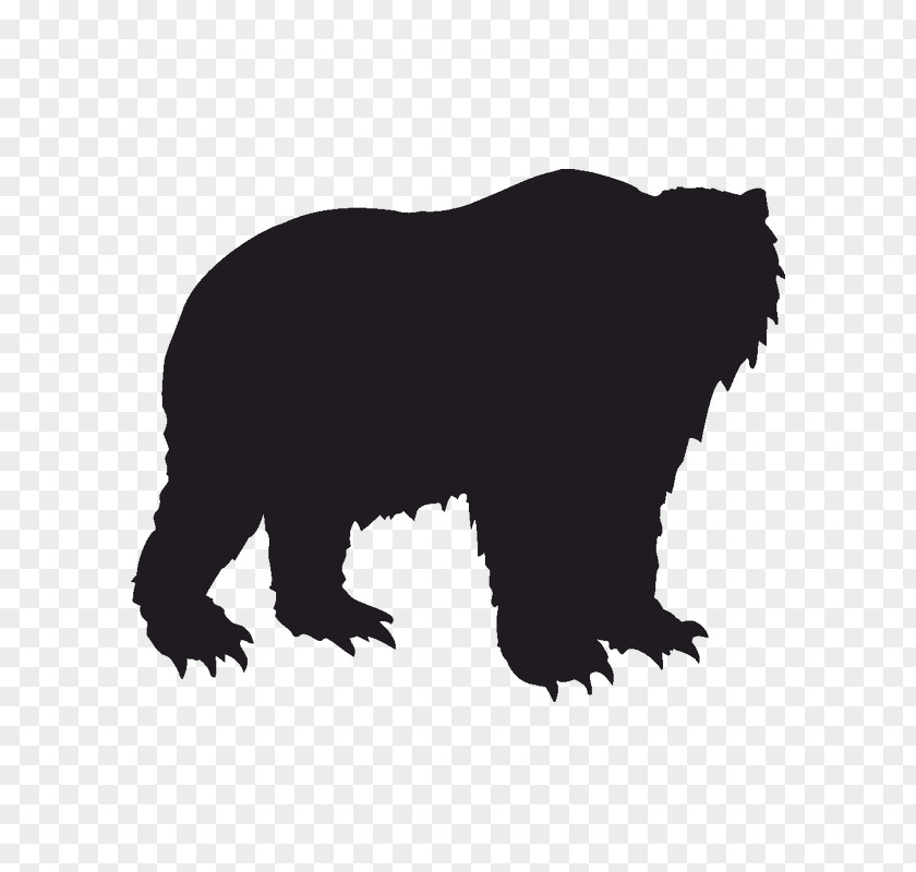 Bear Grizzly Polar American Black Kodiak PNG