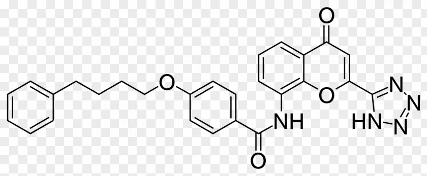 Beta2 Adrenergic Receptor Montelukast Pranlukast Cysteinyl Leukotriene 1 Antileukotriene PNG