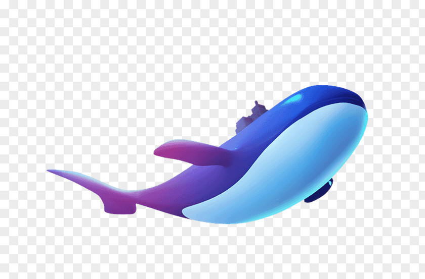 Blue Dolphin Web Design Whale Icon PNG