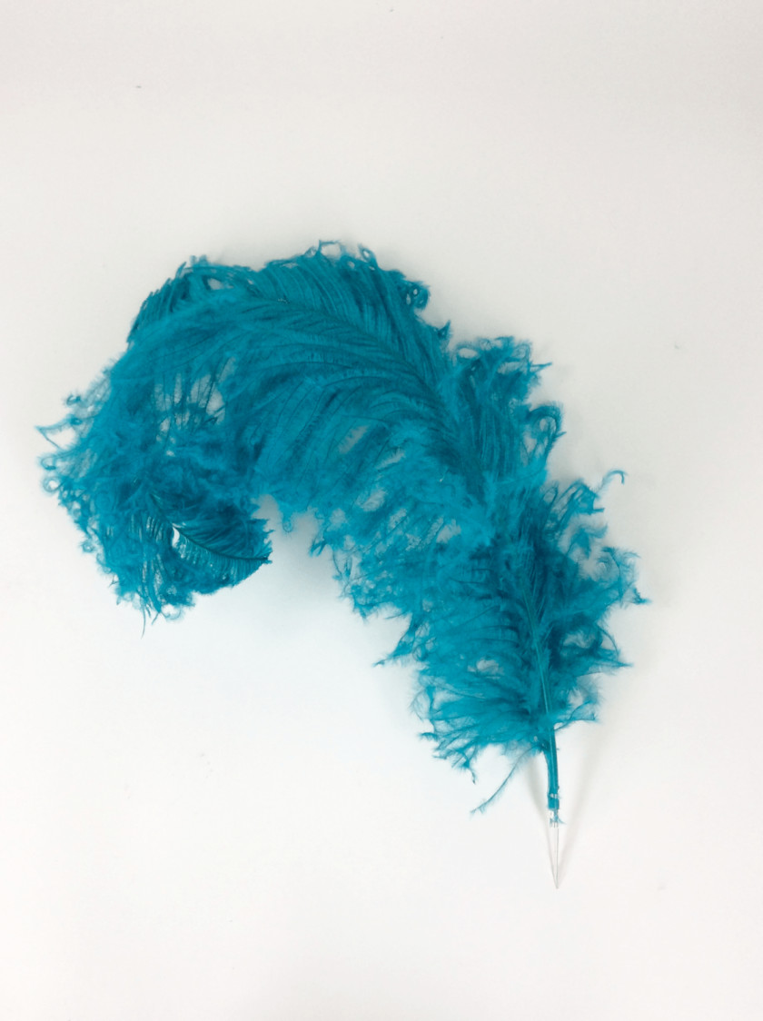 Feather Common Ostrich Boa Turquoise Teal PNG