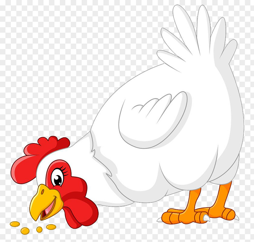 Gaina Chicken Vector Graphics Stock Photography Illustration Image PNG