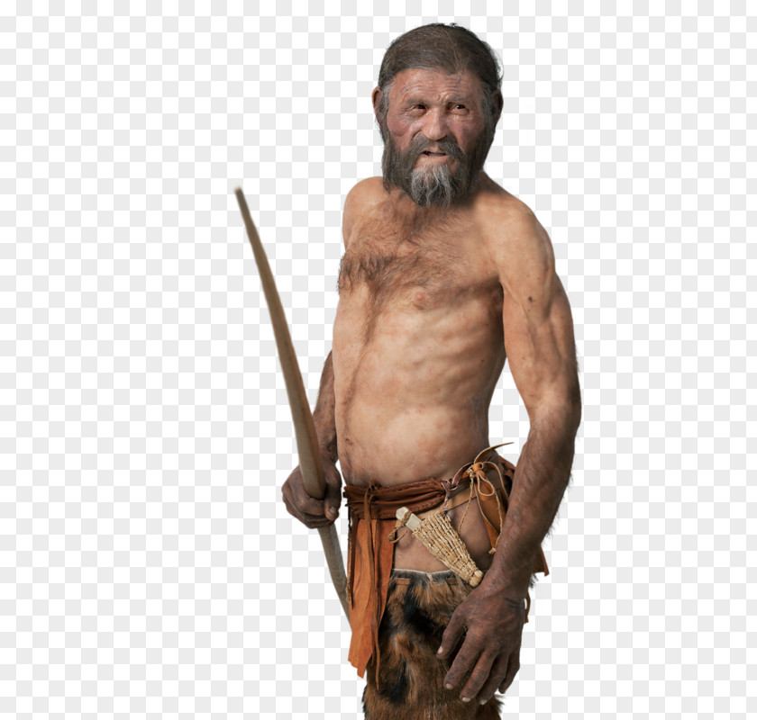 Iceman Ötzi Neandertal Mummy Homo Sapiens PNG