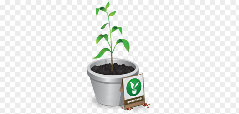 Tree Plant PNG