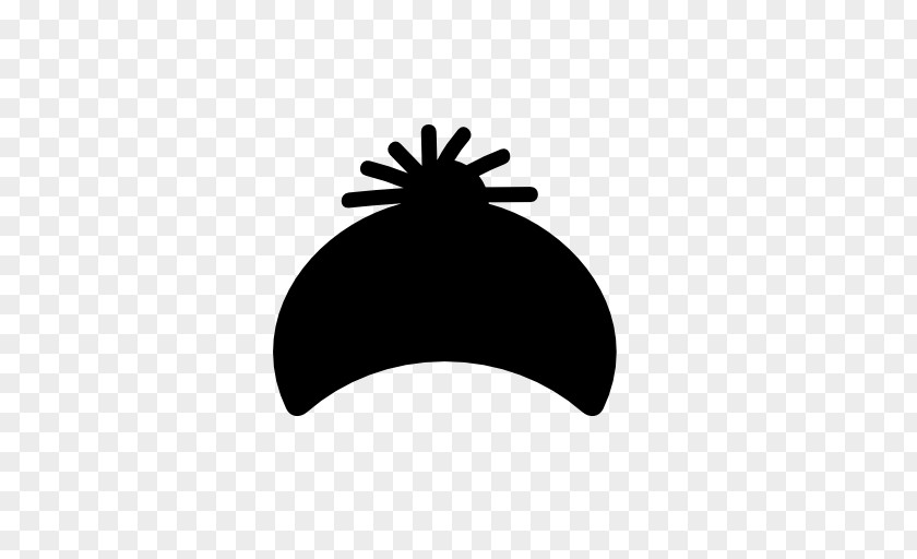 Wizard Caps Hat PNG