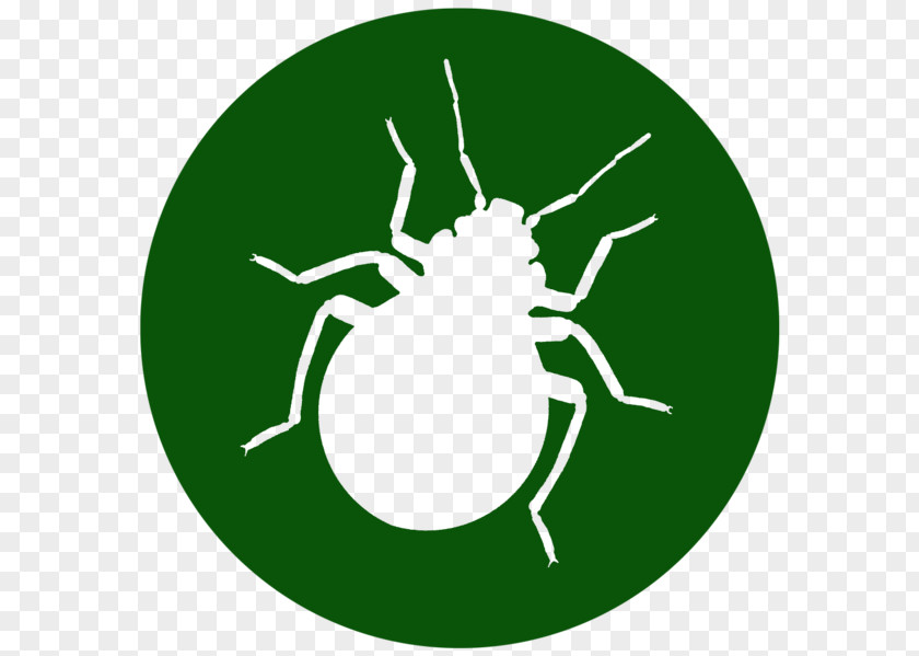 Bug Cockroach Mosquito Pest Control Exterminator PNG