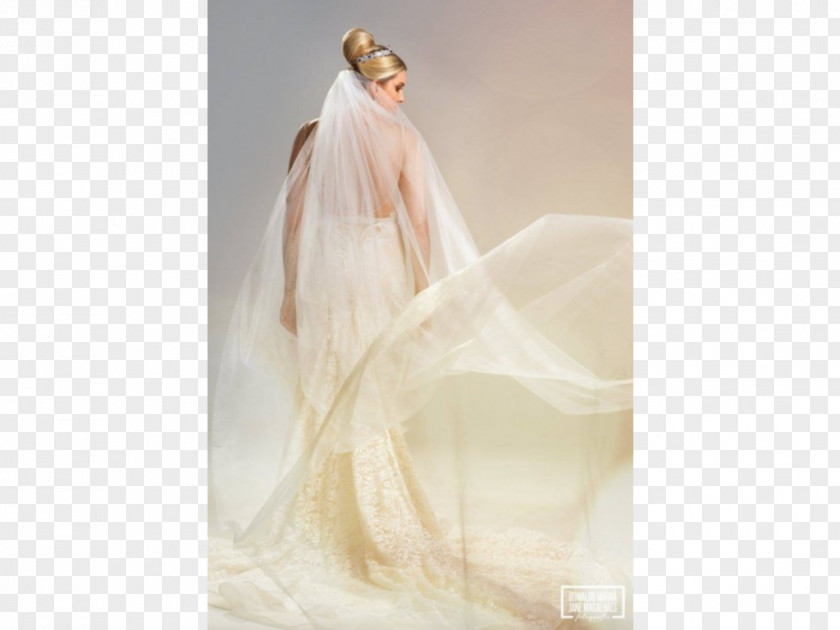 Dress Wedding Silk Veil Gown PNG