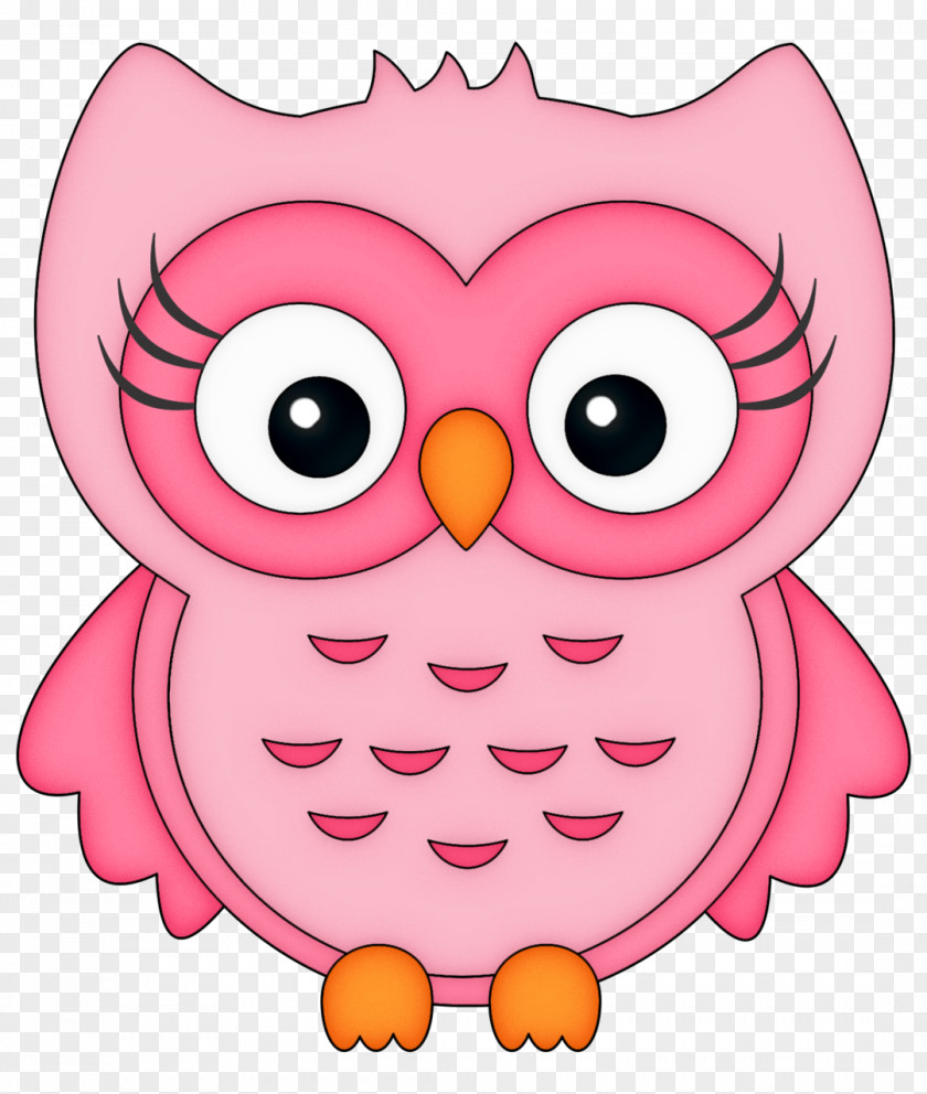 Owl Clip Art Bird Illustration Image PNG