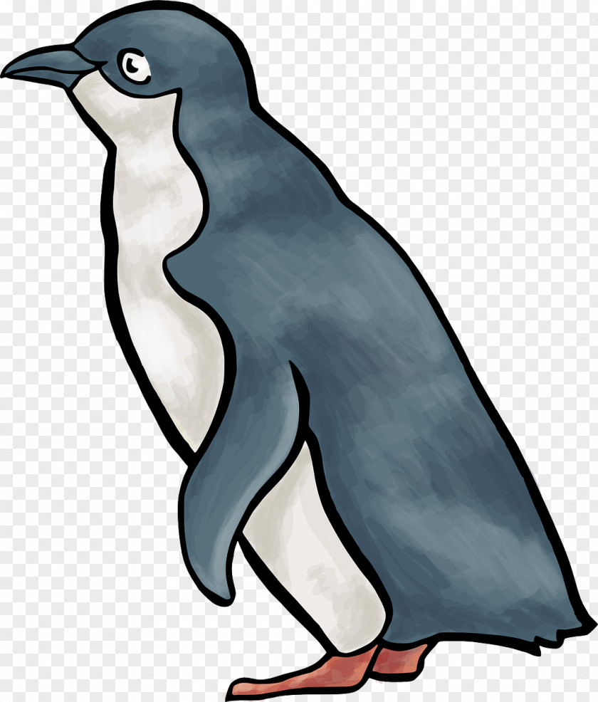Penguin Little Clip Art PNG
