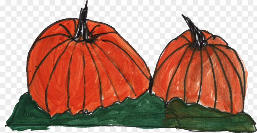 Pumpkin Cucurbita Winter Squash PNG