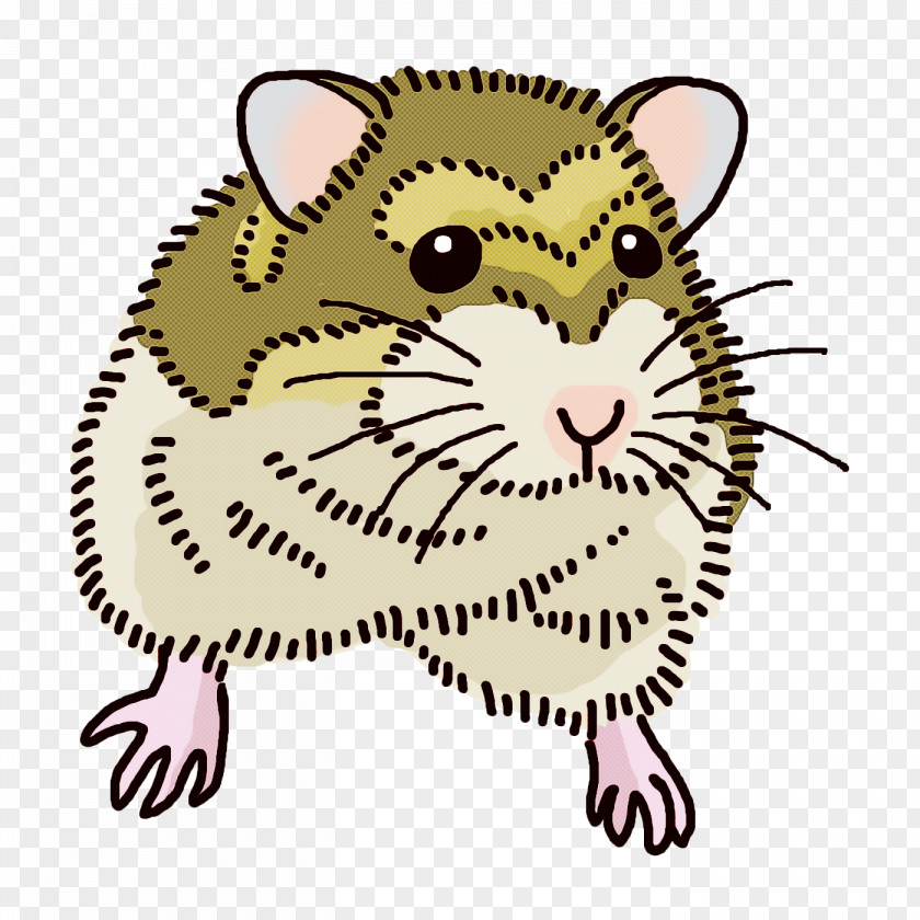 Whiskers Cat Dog Kitten Puppy PNG