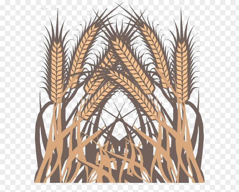 Golden Barley Wheat Euclidean Vector PNG