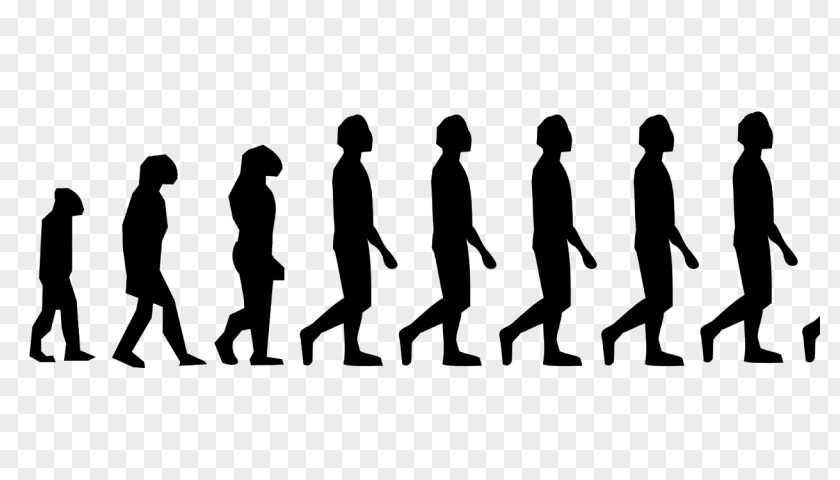 Neandertal Homo Sapiens Human Evolution Early Migrations PNG