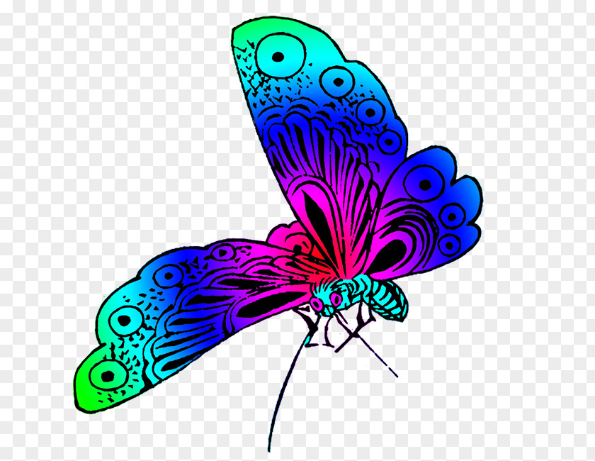 Wonderful Butterfly Desktop Wallpaper Color Clip Art PNG