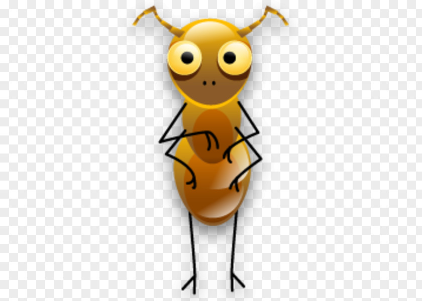 Ants Insect Icon Design Clip Art PNG