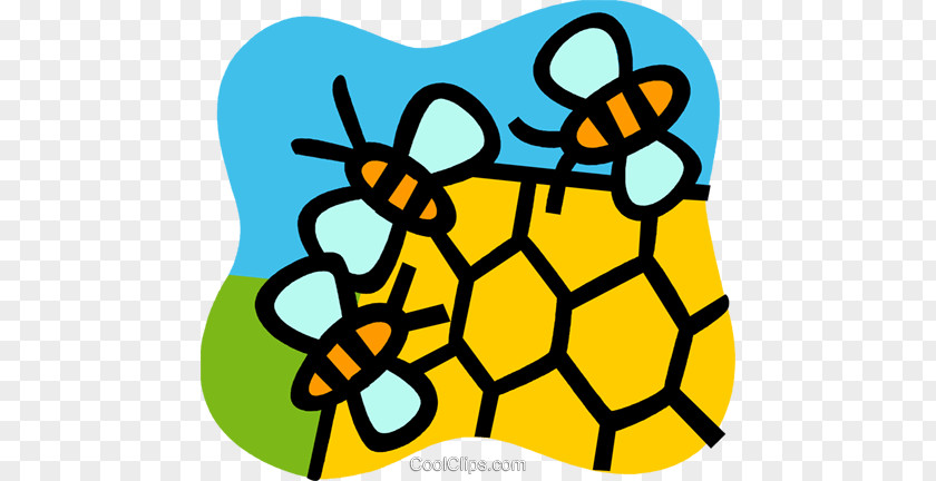 Bee Honey Cartoon Line Clip Art PNG