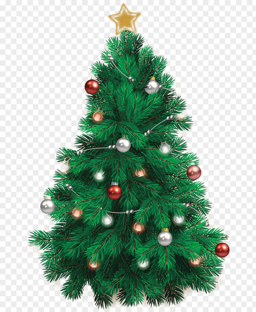 Christmas Decoration Party MODESTROVE Tree PNG