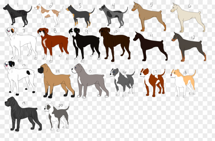 Dog Breed Border Collie Kennel Textile Quilting PNG