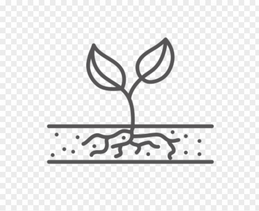 Plants Fruit Tree Seed Logo PNG