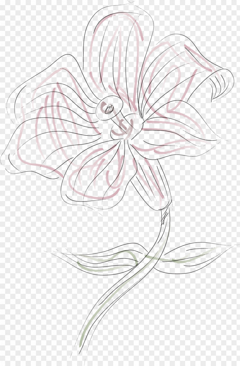 Watercolor Lily Pattern Painting Drawing Lilium PNG