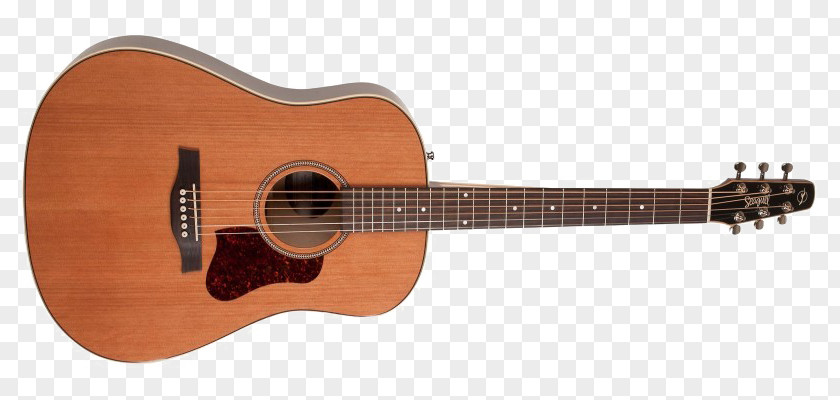 Acoustic Guitar Classical Steel-string Acoustic-electric PNG