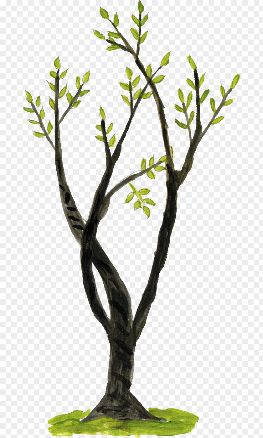 Doodle Branch Twig Tree PNG