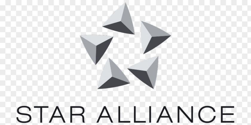 Paris Flyer Logo Lufthansa Star Alliance Turkish Airlines United PNG