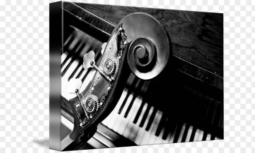 Piano Player Musical Keyboard Double Bass Instruments PNG