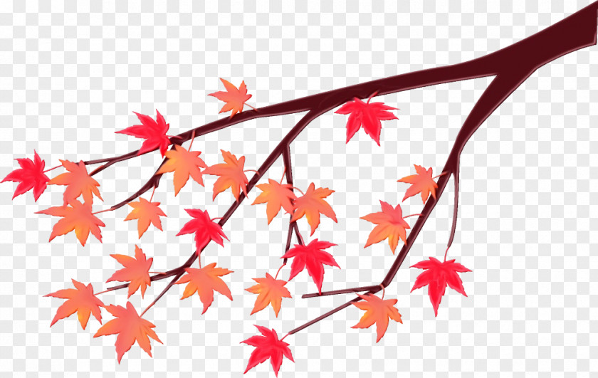 Twig Maple Leaf PNG