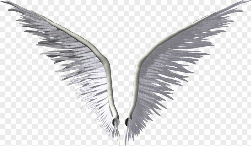 Angel Wings Wing Clip Art PNG