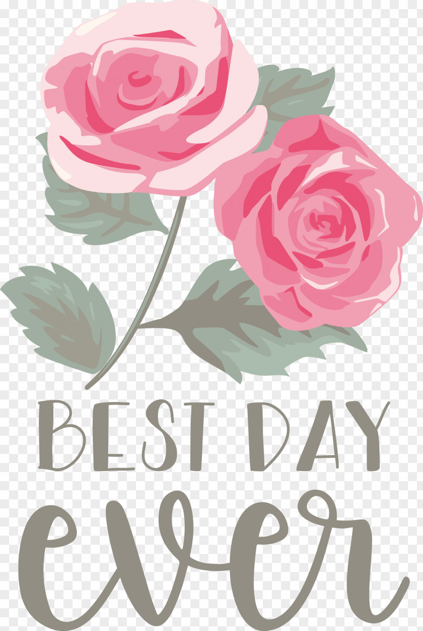 Best Day Ever Wedding PNG