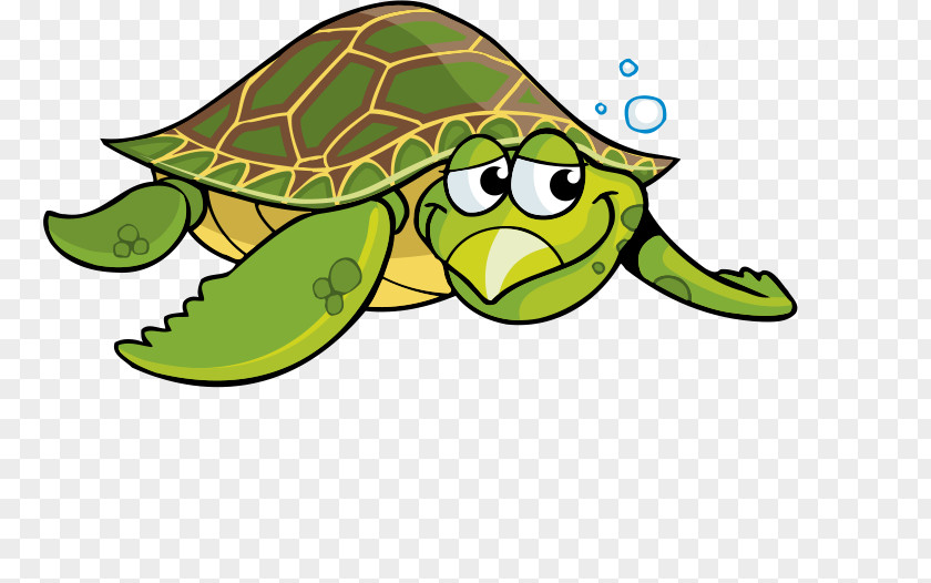Cartoon Turtle Green Sea Tortoise Clip Art PNG