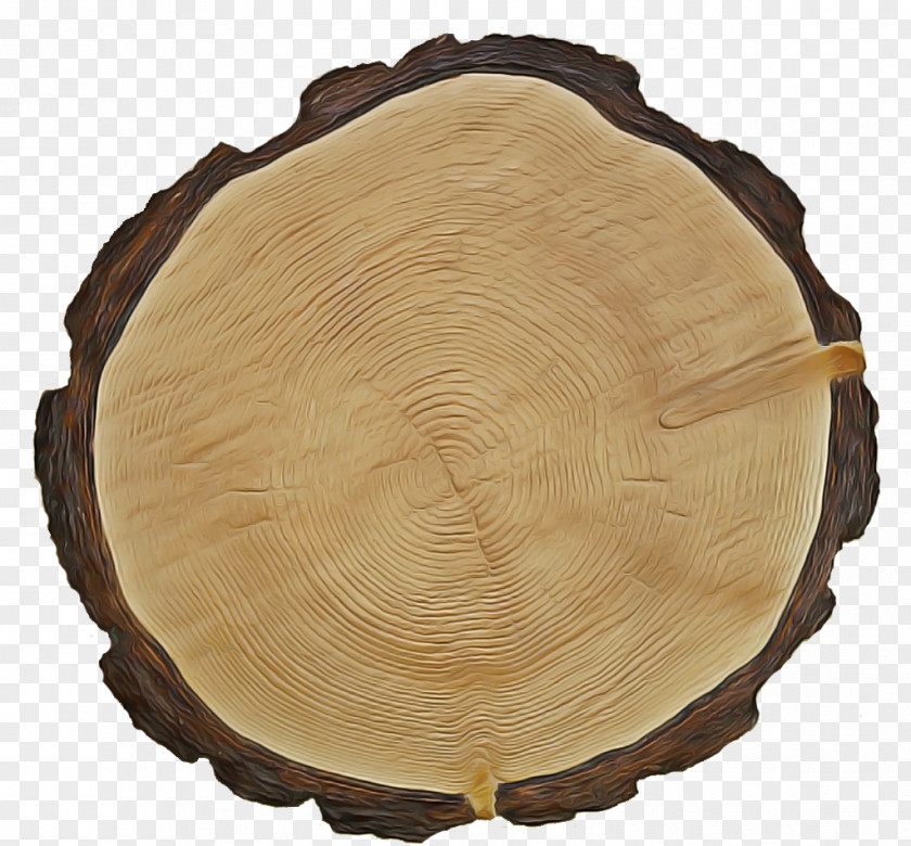 Tree Stump Beige PNG