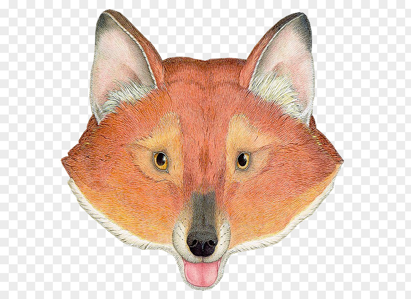 Zorro Red Fox Dhole PhotoScape PNG