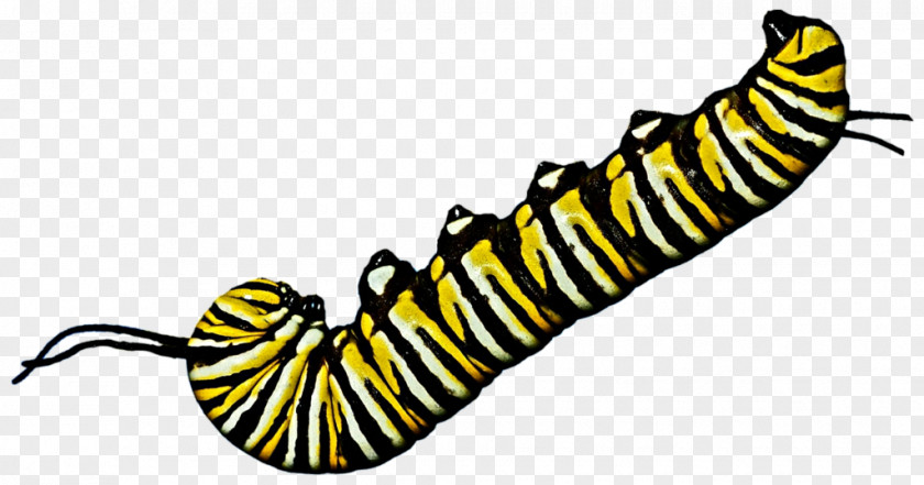 Caterpillar Inc. Art Clip PNG