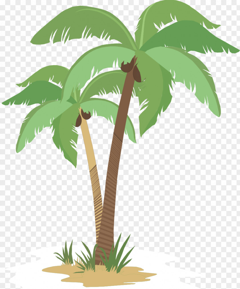 Coconut Arecaceae Flowerpot Tree Plant Stem PNG