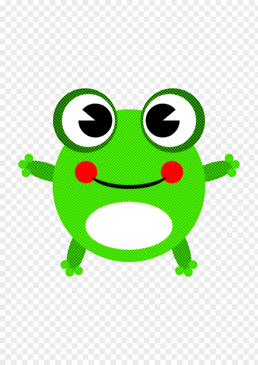 Green Cartoon Frog Tree Hyla PNG